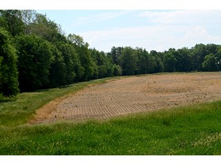 Property photo 39 - FARM & LAND AUCTION - 125+/- ACRES OFFERED IN 5 TRACTS IN EAST ALLEN COUNTY, INDIANA